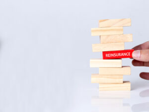 Insurance companies rely on reinsurance