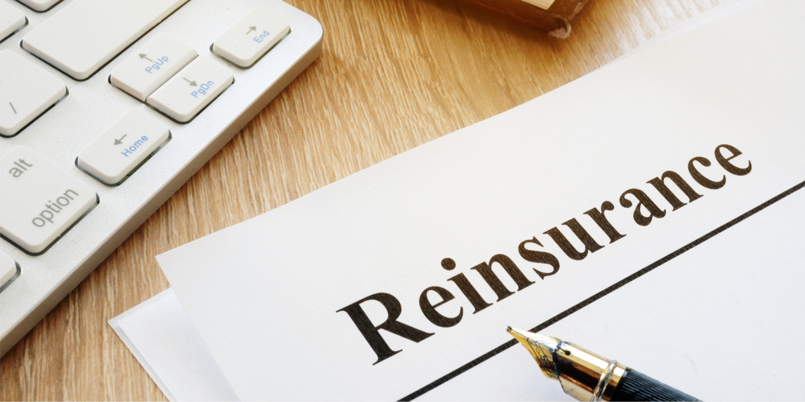 What Is Reinsurance